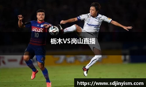 枥木VS岗山直播